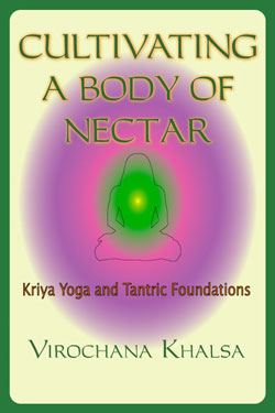 Image for Cultivating a Body of Nectar