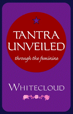 Image for Tantra Unveiled